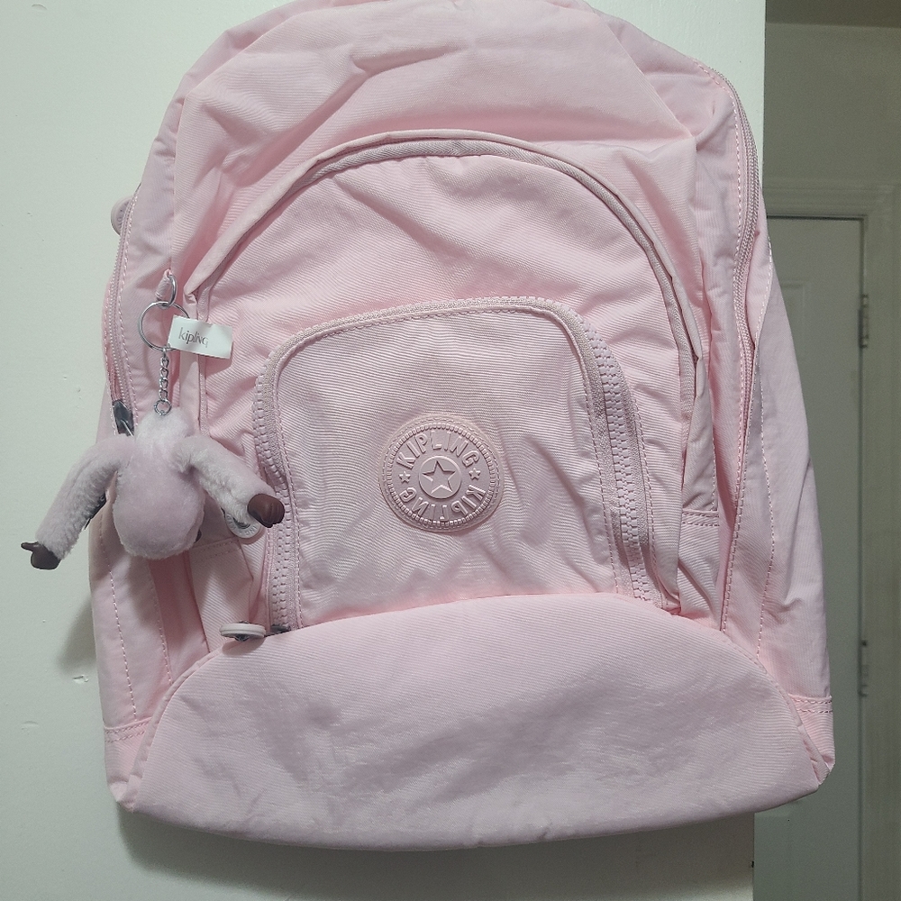 bagpack - Picture 3 of 3